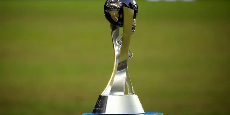 Veja práticas indicadas para controle da vassourinha-de-botão na soja e no milho