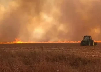 Incêndios devastaram canaviais no ano passado — Foto: Secretaria de Agricultura de SP