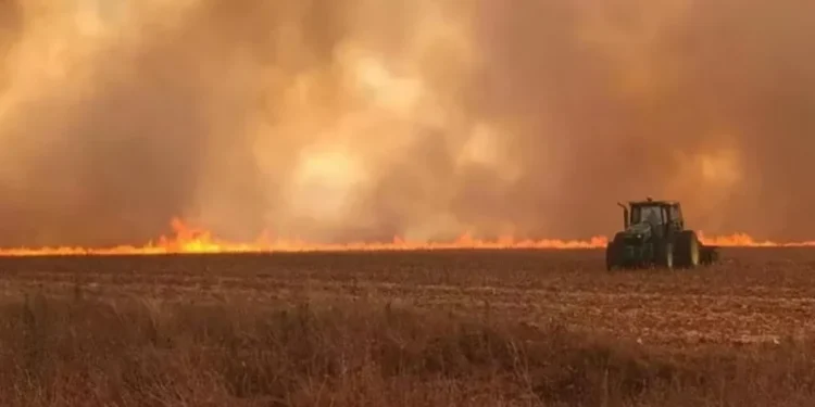 Governo vai obrigar produtor a apagar incêndio em ano de COP, mais orçamento e seca menor