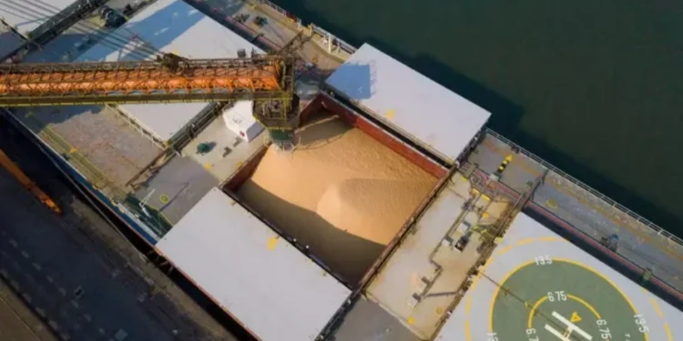 Possível compra de soja dos EUA pela China pode afetar prêmio no Brasil