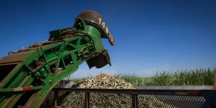 Usinas citadas em ação contra o PCC processam 12,7 milhões de toneladas de cana, diz RPA