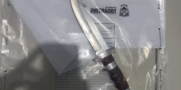 Suspeito de esfaquear focinho e patas de cachorro é preso pela Polícia Civil em Palmas