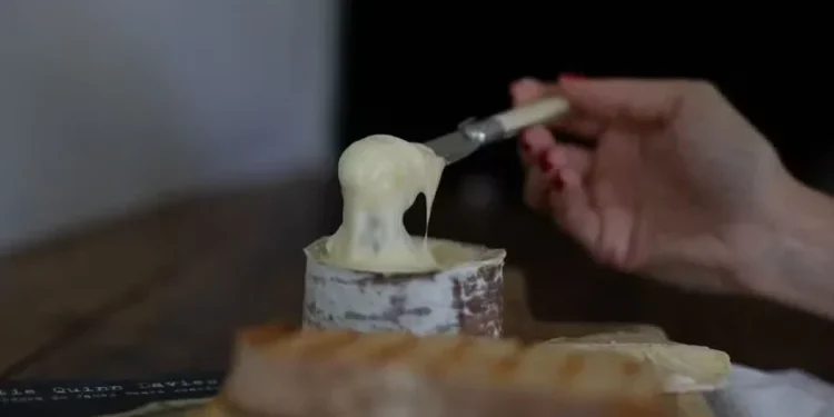 Queijo brasileiro fica entre os 100 melhores do mundo; conheça