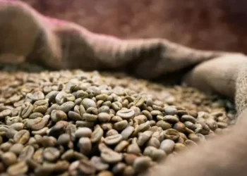 Alta do café no mercado inbternacional levou empresas a reajustarem preços — Foto: Wenderson Araujo/Trilux