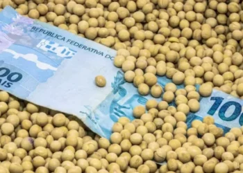 Títulos do agro, como a LCA, têm ganho papel relevante na oferta de recursos para o crédito rural — Foto: Getty Images