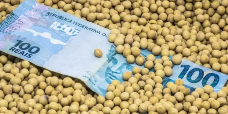 Imposto sobre títulos do agro prejudica financiamento do setor, dizem especialistas