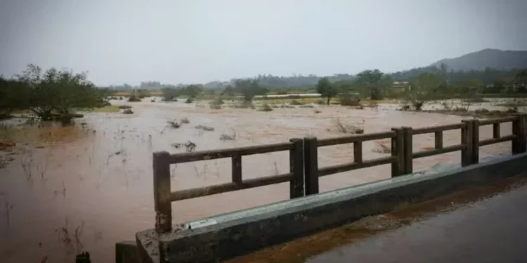 Lula assina MP que libera R$ 12 bi para renegociação de dívidas rurais