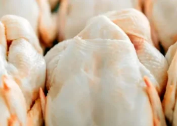 Carne de frangos— Foto: Canva/Creative Commons