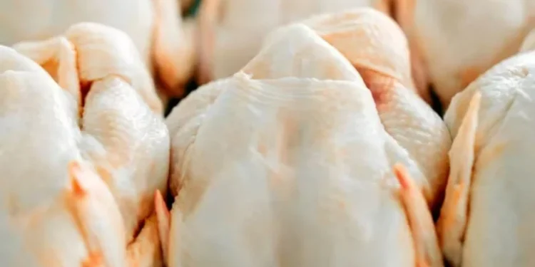 Sem China, México liderou importações de carne de frango do Brasil em agosto