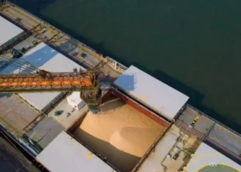 Abastecimento de navio com soja no porto de Santos — Foto: Divulgação porto de Santos