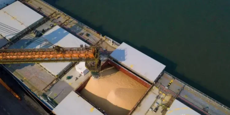 China respondeu por 84% das importações de soja do Brasil em agosto