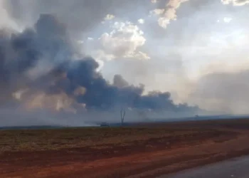 Alerta severo: 111 cidades de SP recebem mensagem para riscos de tempo seco