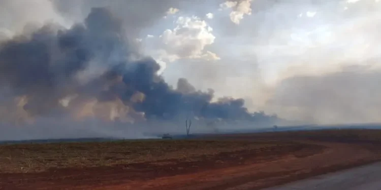 Alerta severo: 111 cidades de SP recebem mensagem para riscos de tempo seco