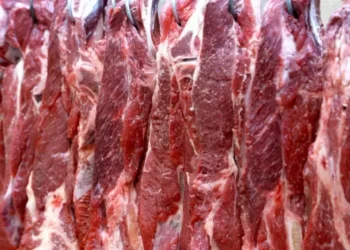 Indústria aposta em recorde nas exportações de carne bovina em 2025 — Foto: Jaelson Lucas/AEN