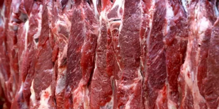 Demanda na Ásia deve garantir recorde nas exportações de carne bovina do Brasil