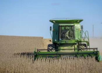 Queda da soja é influenciada pelo avanço da colheita no sul dos Estados Unidos e pela ausência da demanda chinesa — Foto: Preston Keres/USDA