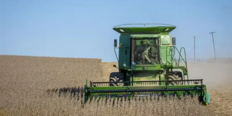 Grãos abrem o dia com leves quedas na bolsa de Chicago
