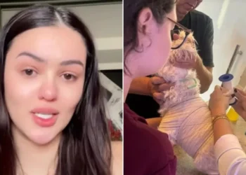 Ex-BBB se desespera após cachorro ser atacado: “Pior coisa que vi”