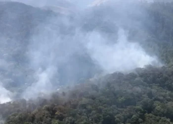 Em meio a tempo seco, SP registra 7 focos de incêndio em vegetação