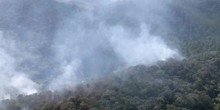Em meio a tempo seco, SP registra 7 focos de incêndio em vegetação