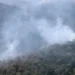 Em meio a tempo seco, SP registra 7 focos de incêndio em vegetação