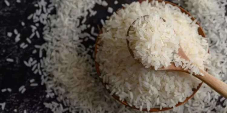 Preços mundiais do arroz caíram 1,7% em agosto