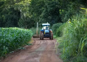 Pequenos e médios costumam pagar taxas de juros mais altas — Foto: Wenderson Araujo/CNA