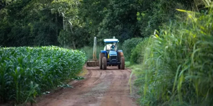 BNDES planeja Fundo Garantidor para pequenos e médios produtores rurais