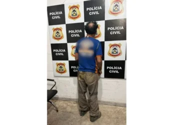 Homem foi preso após praticar maus tratos a animais em Paraíso do Tocantins/ Crédito -Foto -DICOM SSP TO