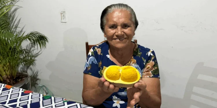 Projeto RENOVAR impulsiona produção de agricultores familiares de Ponte Alta do Tocantins