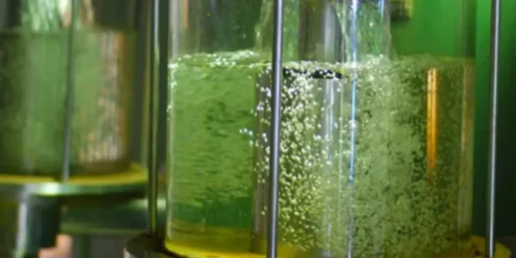 Preço do etanol hidratado cai após sete semanas de altas