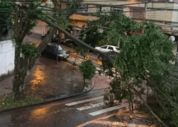 Defesa Civil emite alerta para temporais com rajadas de vento em SP