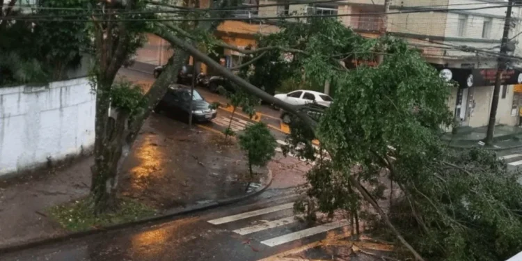 Bruno Ribeiro/ Metrópoles