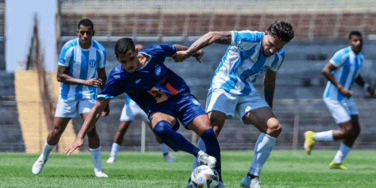 Luã Tomasson / @tomasson.creator