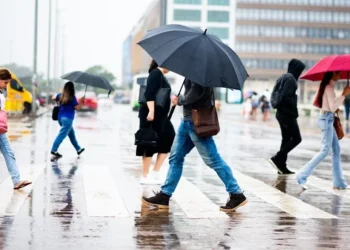 Foto: Hugo Barreto/Metrópoles @hugobarretophoto