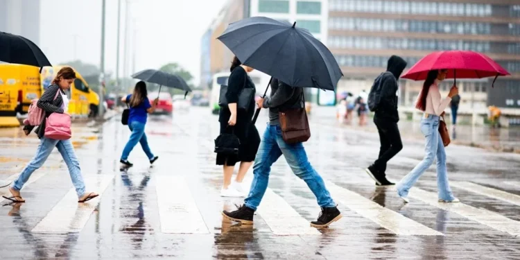 Foto: Hugo Barreto/Metrópoles @hugobarretophoto