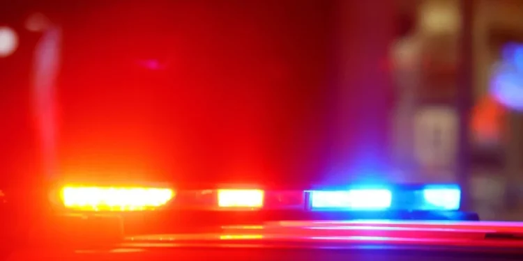 Foto: Douglas Sacha/Getty Images