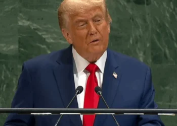 Organização das Nações Unidas