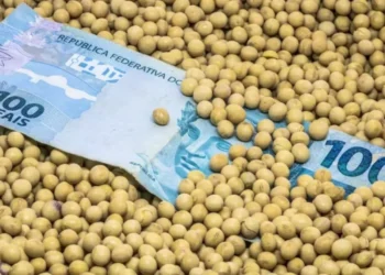 Ministro ressaltou que são aplicados cerca de R$ 20 bilhões do orçamento da União por ano para garantir juros mais baratos no crédito rural — Foto: Getty Images