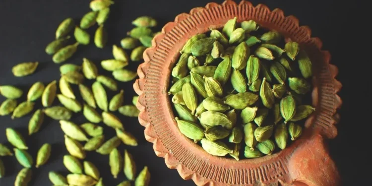 Foto: Neha Gupta/Getty Images