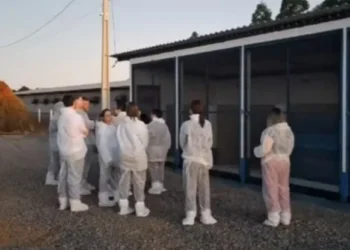 Comitiva chinesa verificou funcionamento dos controles sanitários nas propriedades e nas plantas industriais visitadas — Foto: Divulgação/Ascom Seapi