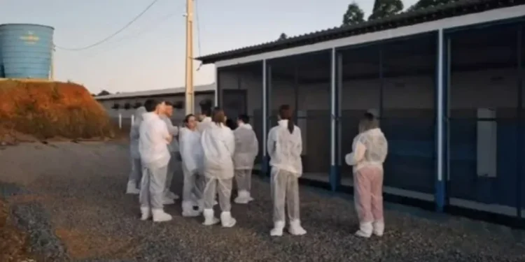 Comitiva chinesa verificou funcionamento dos controles sanitários nas propriedades e nas plantas industriais visitadas — Foto: Divulgação/Ascom Seapi