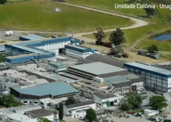 Unidade da Marfrig em Colônia, no Uruguai — Foto: Marfrig/Reprodução