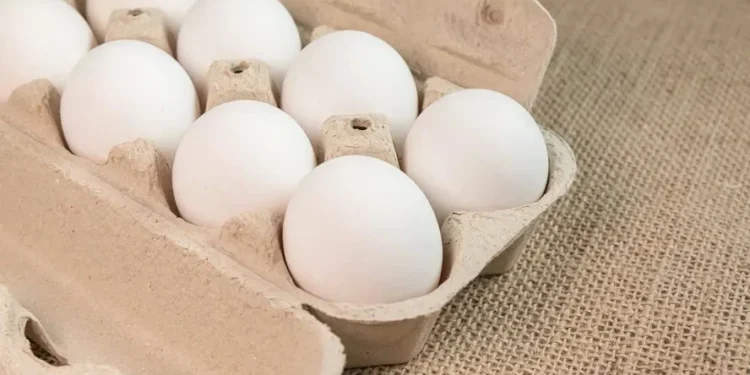 Cotações dos ovos vêm recuando no mercado doméstico desde abril — Foto: Freepik