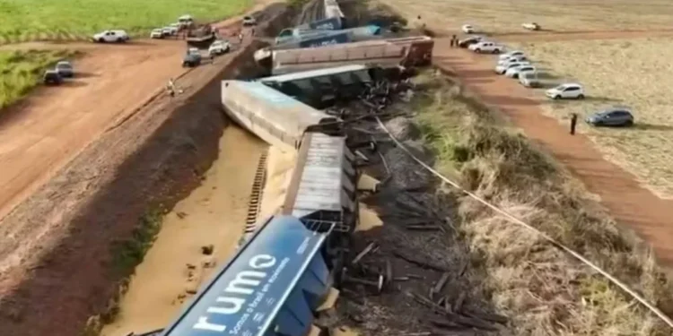 Fabiano Le Petit/@dronelepetit