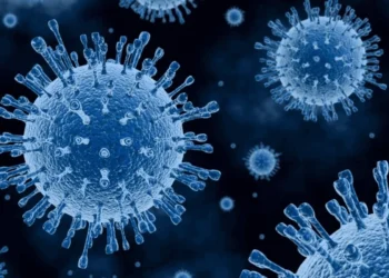 Boletim da Fiocruz aponta alta de influenza A e Covid em Goiás e no DF