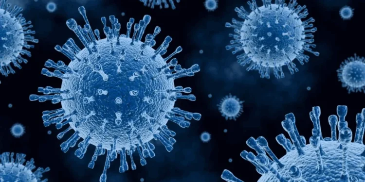 Olena_T/Getty Images