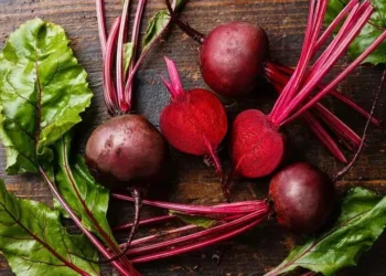 Folhas da beterraba são aliadas do intestino, diz pesquisa brasileira