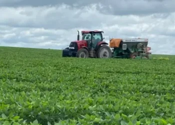 Do total, 192 pedidos eram de produtores de soja e 26 de criação de bovinos — Foto: Fundação Solidaridad