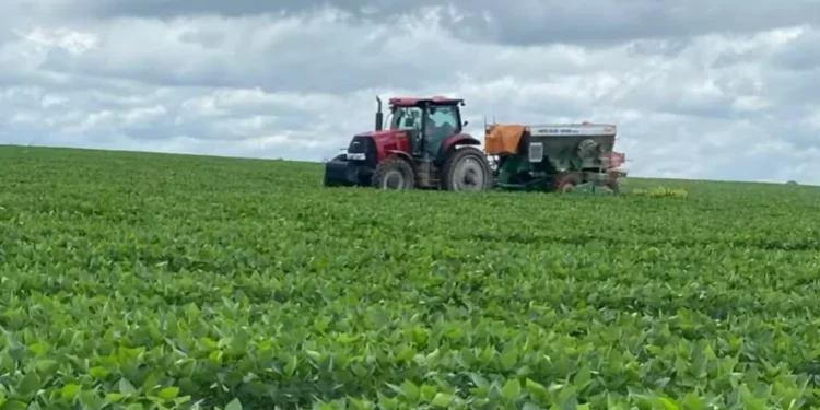 Do total, 192 pedidos eram de produtores de soja e 26 de criação de bovinos — Foto: Fundação Solidaridad